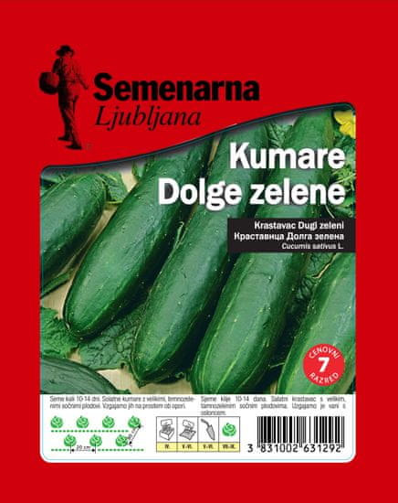 Semenarna Ljubljana kumare, dolge, zelene, 50 g