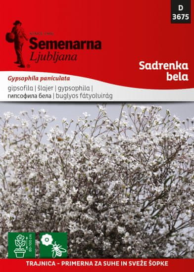 Semenarna Ljubljana Sardenka bela, D3675, mala vrečka