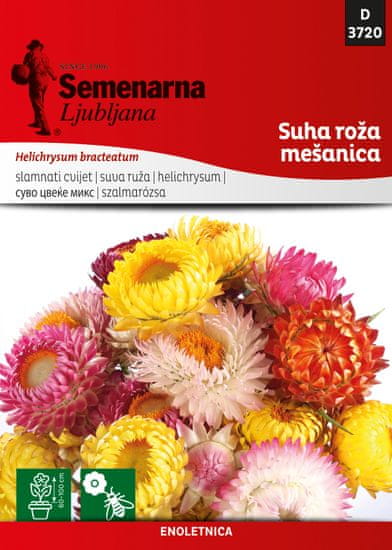 Semenarna Ljubljana suha roža - mešanica D3720, mala vrečka