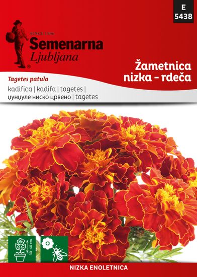Semenarna Ljubljana žametnica nizka - rdeča D5438, mala vrečka