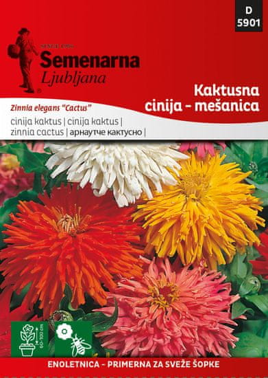 Semenarna Ljubljana cinija kaktusna - mešanica 5901, mala vrečka