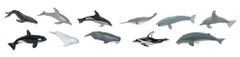 Safari Ltd. Tuba živali - kiti in delfini