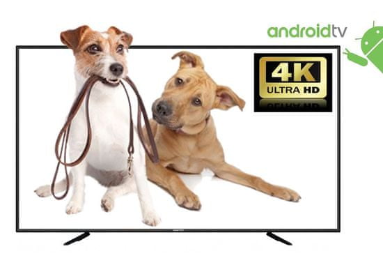 Manta 4K LED TV sprejemnik 55LUA58L Android