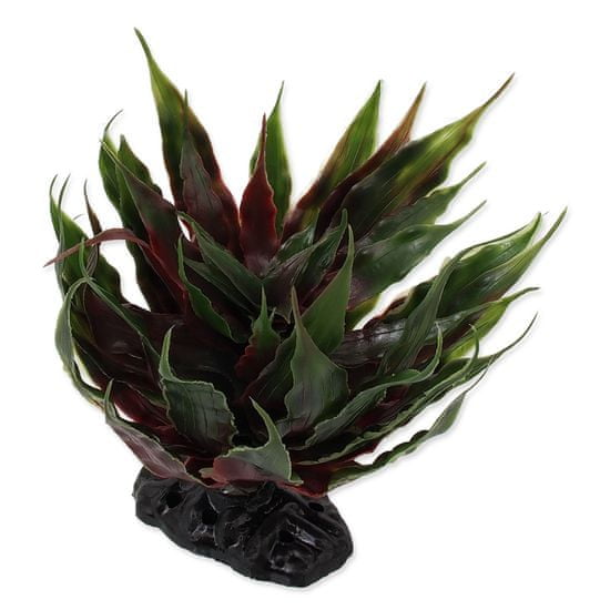 REPTI PLANET sočna rastlina Agave, zelena, 18 cm