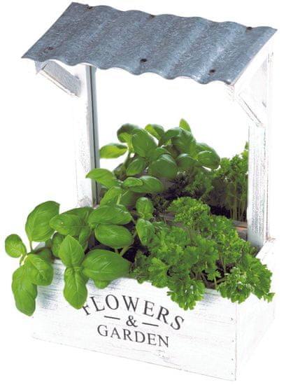 TimeLife dekorativna škatla za gojenje rastlin, 29 x 21 x 12 cm
