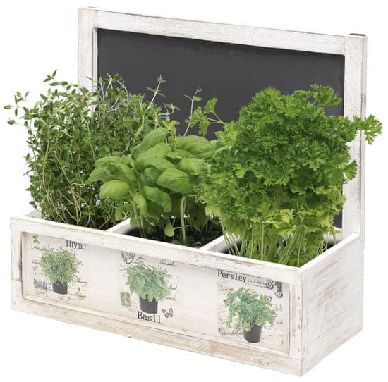 TimeLife dekorativna škatla za gojenje rastlin, 33 x 12 x 31 cm