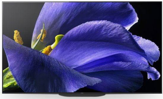 Sony OLED KD-65AG9 televizor