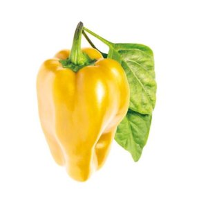 Click & Grow semena za rumeno papriko