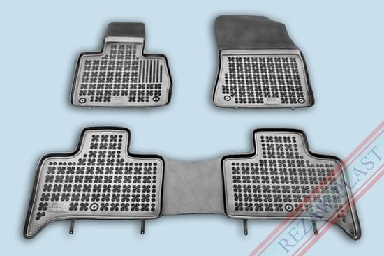 REZAW-PLAST Gumijaste preproge BMW X5 E53 2000-2006 z dvignjenim robom