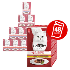 Gourmet hrana za mačke Mon Petit Multipack s piščancem, raco, puranom v soku 48 x 50 g