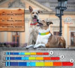 WAUDOG Ravna usnjena ovratnica večbarvna prelivajoča se 30-39 cm, širina: 20 mm zelena