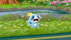 Nintendo Pokemon Shield igra (Switch)