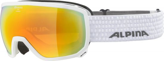 Alpina Sports Scarabeo HM smučarska očala