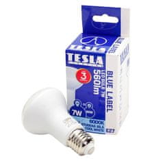 Tesla Lighting R6270760-7 LED žarnica