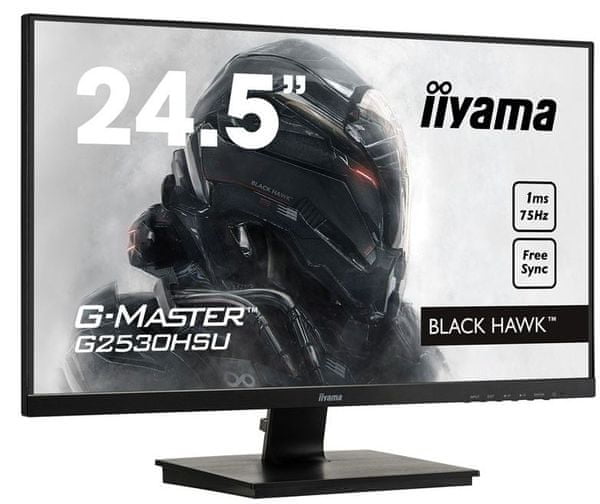 G-MASTER Black Hawk G2530HSU-B1 gaming monitor
