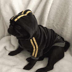 Doggy Dolly Royal Divas pulover za male pse, črn, XXL