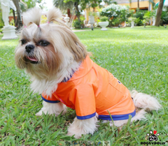 Doggy Dolly dežni plašč za male pse, 2 tački, oranžen, XL
