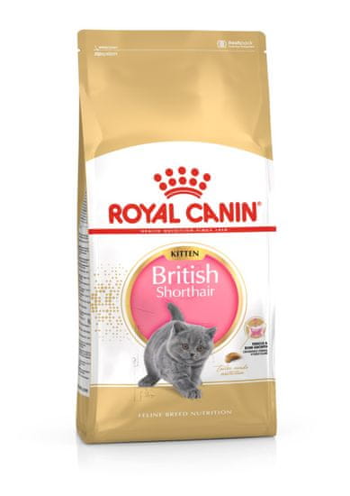 Royal Canin British Shorthair Kitten hrana za mladiče britanske kratkodlake mačke, 10 kg