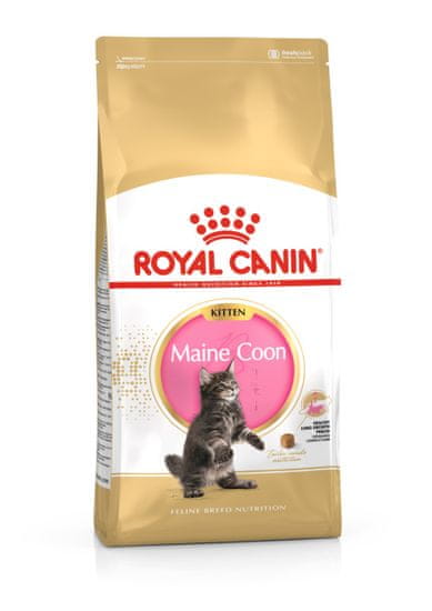 Royal Canin Maine Coon Kitten hrana za mačje mladiče Main Coon, 10 kg