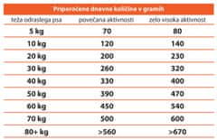 Calibra Premium Line Energy hrana za aktivne pse, 2 x 12kg