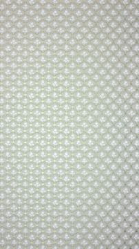 NINA CAMPBELL Ozadje FOLCO 04 iz kolekcije PARADISO