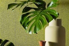 GIARDINI ORGANIC ozadje iz kolekcije SURFACES