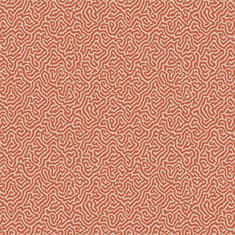 Cole & Son Ozadje VERMICELLI 4018, kolekcija CURIO