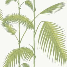 Cole & Son Ozadje PALM 1009, SODOBNA RESTYLED kolekcija