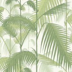 Cole & Son Ozadje PALM JUNGLE 1001, SODOBNA RESTYLED kolekcija