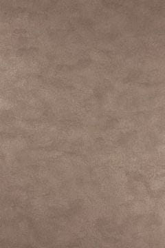 OSBORNE & LITTLE Ozadje ALCHEMY 06 iz kolekcije METALLICO VINYLS