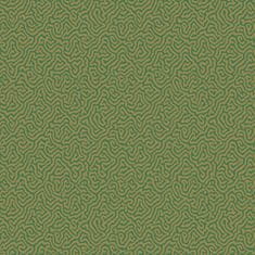 Cole & Son Ozadje VERMICELLI 4022, kolekcija CURIO