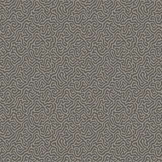 Cole & Son Ozadje VERMICELLI 4017, kolekcija CURIO
