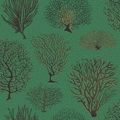 Cole & Son Ozadje SEAFERN 2007, kolekcija CURIO
