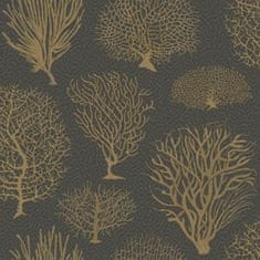 Cole & Son Ozadje SEAFERN 2006, kolekcija CURIO