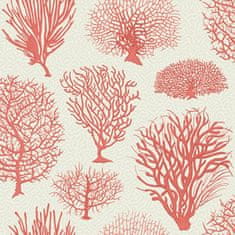 Cole & Son Ozadje SEAFERN 2011, kolekcija CURIO