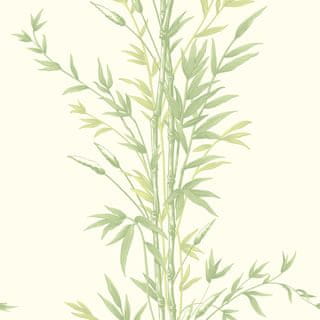 Cole & Son Ozadje BAMBOO 5023, kolekcija ARHIVSKA ANTOLOGIJA