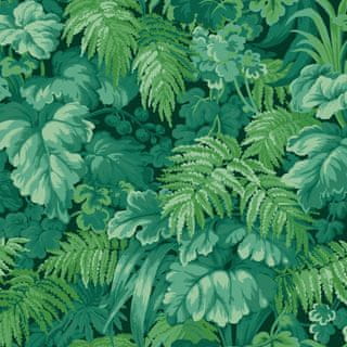 Cole & Son Ozadje ROYAL FERNERY 3009, kolekcija MARTYN LAWRENCE BULLARD
