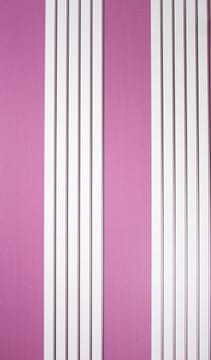 NINA CAMPBELL Ozadje BICTON 01 iz kolekcije MONTACUTE