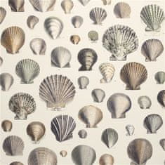 JOHN DERIAN Ozadje CAPTAIN THOMAS BROWNS SHELLS OYSTER, kolekcija PICTURE BOOK PAPERS