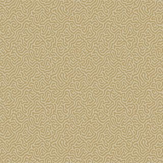 Cole & Son Ozadje VERMICELLI 4021, kolekcija CURIO
