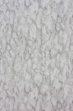 NINA CAMPBELL Ozadje KERSHAW PLAIN 02 iz kolekcije FONTIBRE