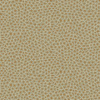 Cole & Son Ozadje SENZO SPOT 6029, kolekcija ZBIRKA ARDMORE
