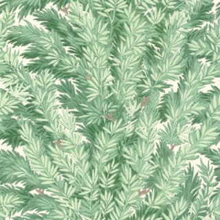 Cole & Son Ozadje FLORENCECOURT 1002, kolekcija ARHIVSKA ANTOLOGIJA