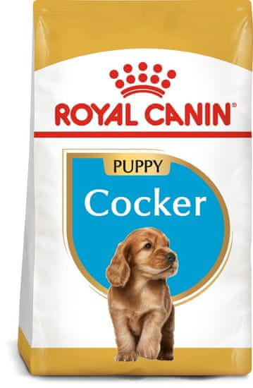 Royal Canin Cocker Puppy pasji briketi, 3 kg