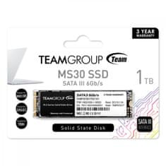 TeamGroup MS30 SSD disk, 1TB, M.2 2280, SATA 3 - rabljeno