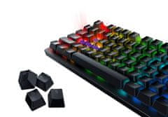 Razer komplet tipk PBT Keycap Upgrade Set - Razer Classic Black, črna (RC21-01490100-R3M1)