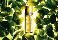 Clarins Vzdrževati in revitalizacijo serumski koža rastlin Gold (Nutri Revitalizing Oil Emulsion) 35 ml