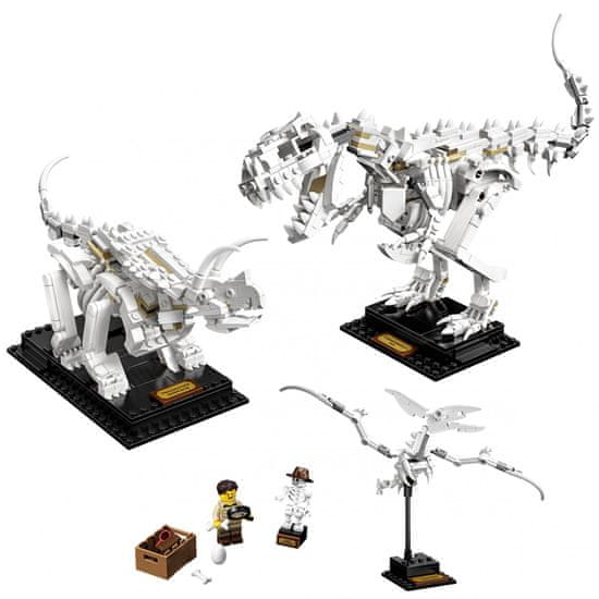 LEGO Ideas 21320 Fosili dinozavrov
