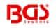 BGS technic