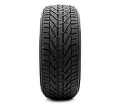 Riken 205/45R17 88V RIKEN SNOW XL